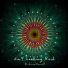 Richard Farrell - Ain't Looking Back - Single